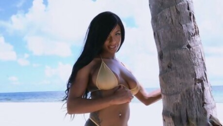 Ebony goddess Sarai Minx poses on the beach and gets her twat nailed hard